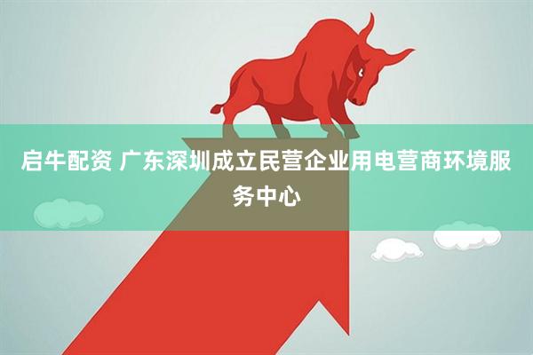 启牛配资 广东深圳成立民营企业用电营商环境服务中心