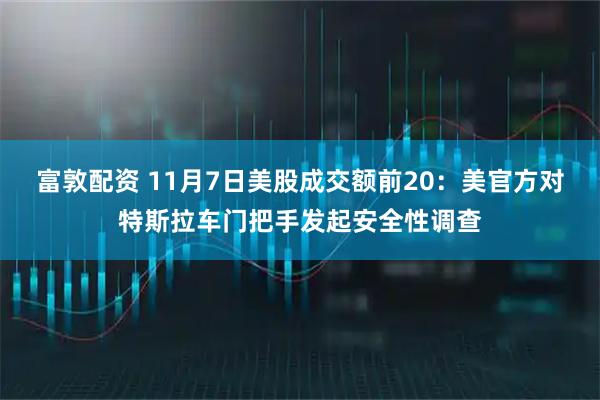 富敦配资 11月7日美股成交额前20：美官方对特斯拉车门把手发起安全性调查